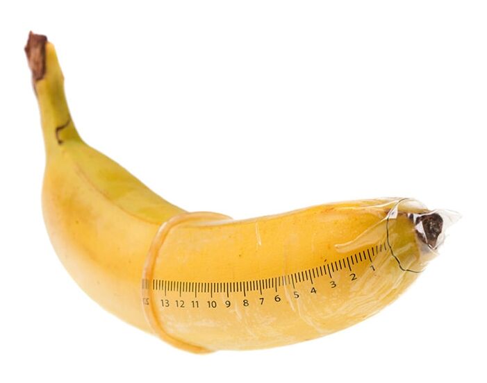 The optimal size of an erect penis is 10-16 cm